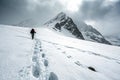 ExplorerÃ¢â¬â¢s Footprints in the Snowstorm Royalty Free Stock Photo